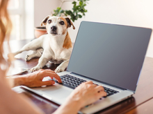 Образовательный курс по кибербезопасности запустили для жителей Нижнего Новгорода