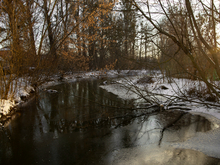 Запасы воды в снежном покрове — выше нормы. Каким будет половодье в Нижегородской области