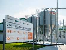 В новый репродуктор индейки в Тюменской области инвестируют 3,3 млрд рублей