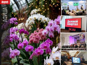 Гуляем на фестивале орхидей, идем на бизнес-практикум DK.RU и форумы: афиша Екатеринбурга