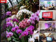 Гуляем на фестивале орхидей, идем на бизнес-практикум DK.RU и форумы: афиша Екатеринбурга