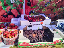 В ТЦ Екатеринбурга скоро появятся специальные прилавки уральских фермеров