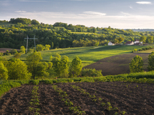 Налоговую ставку для более 330 нижегородских сельхозучастков повысят в пять раз