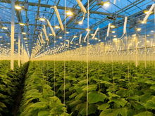 За счет простых действий можно на порядок ускорить рабочие процессы