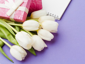 Как провести 7 и 8 марта в Челябинске: афиша мероприятий