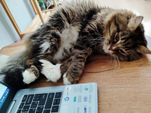 Пять неочевидных причин работать в офисе, а не из дома