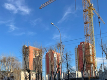 Нас ждет городской колхоз: тюменский строитель дал прогноз развития отрасли