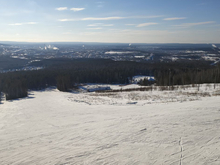 ГЛК «Волчиха» в Свердловской области продают за 13 млн руб.