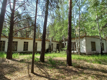 Отложен аукцион по продаже бывшего тюменского пионерлагеря «Связист»