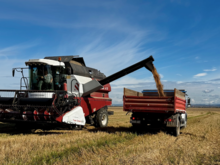 220+ млн рублей выделят красноярским аграриям в 2026: на что пойдут деньги?