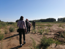 На берегу Шершневского водохранилища создадут экотропу и научный центр