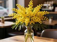 Между зимой и весной: погода на выходных в Красноярске
