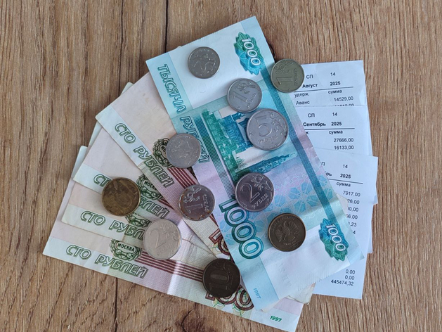 «Все произошло разом, как снежный ком»: уральский завод оказался на грани банкротства «Все произошло разом, как снежный ком»: уральский завод оказался на грани банкротства