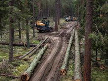 Прокуратура Красноярского края добивается конфискации имущества осужденного за контрабанду