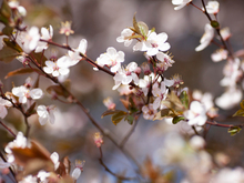 До +14°С. В Нижнем Новгороде установлены температурные рекорды в марте 2026 г.