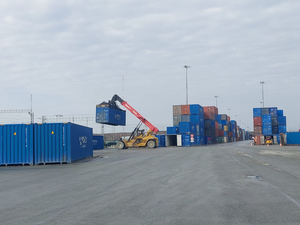 Цены на Apple, Dyson, Bosch, Philips и другой параллельный импорт вырастут на 15–25%