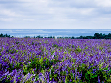 Сбербанк продает перешедший после банкротства актив, которым владел сооснователь SuperJob