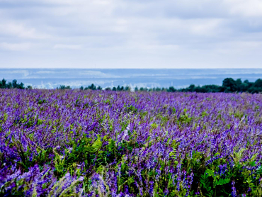 Сбербанк продает перешедший после банкротства актив, которым владел сооснователь SuperJob