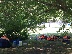 Число иностранцев в РФ сокращается, но на трудовой миграции это не сказалось