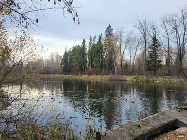 На пруду в одном из городских парков Тюмени откроется пункт проката