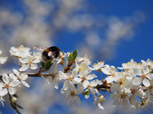 Синоптики спрогнозировали погоду на апрель 2026 г. в Нижегородской области 
