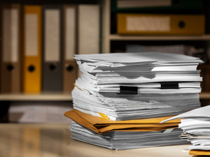 Границы новосибирской особой экономической зоны внесли в ЕГРН