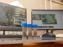 Красноярские ученые помогут очистить промышленные стоки от алюминия