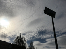 Власти РФ приняли решение снижать объемы использования VPN в стране