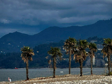 Из Тюмени запускают прямой авиарейс на грузинский курорт Батуми