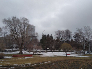 В Новосибирске слегка похолодает к концу рабочей недели