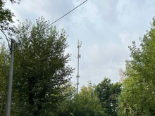 Шаг за шагом: Минцифры изучает возможность уменьшения числа операторов связи