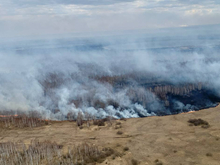 Правительство Тюменской области объявило о начале пожароопасного сезона