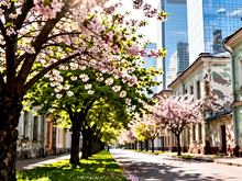 Красноярск ожидает похолодание к концу второй недели апреля

