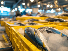 В Сибири наращивают собственное производство рыбы, чтобы не зависеть от морских регионов