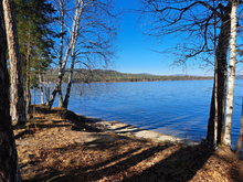 Дачу экс-владельцев «Арианта» на Тургояке планируют изъять судебные приставы
