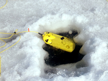 Подводный мир крупнейших озер Челябинской области исследовали с помощью дрона
