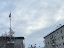 Электронные госсервисы Тюменской области добавили в «белый список»