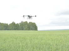 Челябинские аграрии нарастят количество дронов для обработки полей
