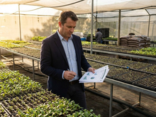 Долги красноярских озеленителей превысили их доходы более чем на треть