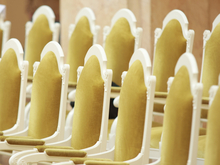 Смольный потратит более 21 млн рублей на ковровые дорожки

