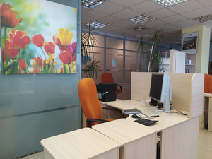 «Мы боимся»: тюменские предприниматели жалуются на проблемы с продвижением