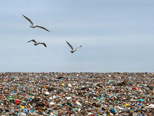 Оператор полигона в Магнитогорске избежал суда с ЦКС 
