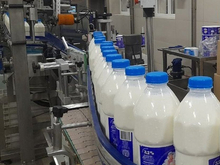 Красноярским предприятиям компенсируют часть затрат на переработку молока 