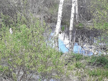 На очистку реки Ушаковка под Тюменью выделят 65,3 млн рублей