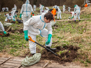 В Ленобласти смогли создать бизнес-коалицию против борщевика