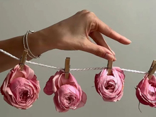 Пьеса из книги Гиннесса и возвращение Пуччини: куда идти в Красноярске 25 апреля...1 мая