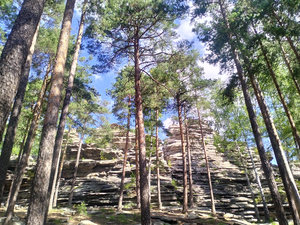 В Свердловской области с 25 апреля ужесточат противопожарные правила: что запретят жителям