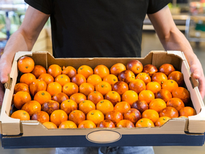 Импорт цитрусовых фруктов в Сибирь увеличился в 1,6 раза