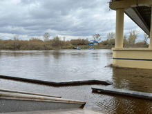 Туру в центральной части Тюмени очистят от мусора и водной растительности