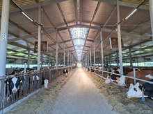 Экспорт продукции АПК из Красноярского края планируют увеличить в 1,5 раза